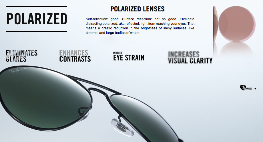 RayBan PolarizedLens Sunglasses