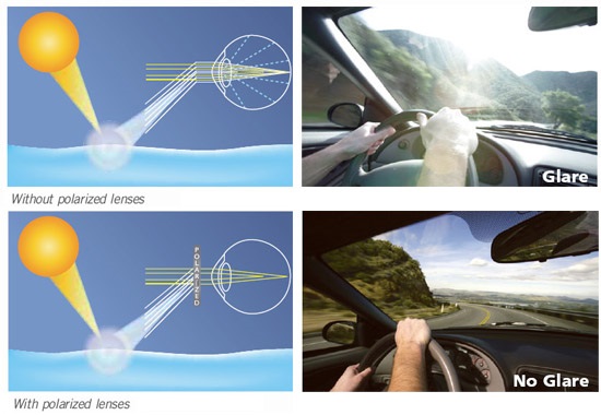 difference between ray ban polarized and nonpolarized