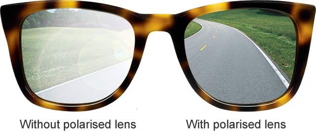 ray ban polarised vs non polarised