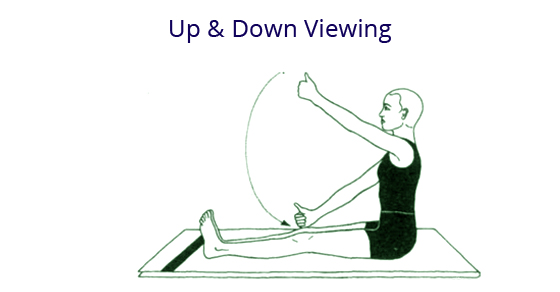 Up & Down Viewing-eye-exercise